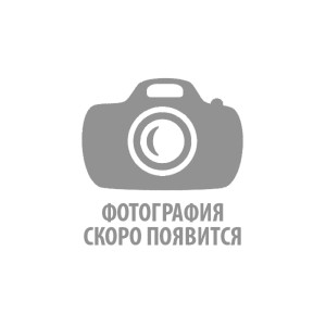 Музыкальный руководитель Исаева Ольга Борисовна Музыкальный руководитель Исаева Ольга Борисовна